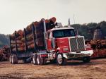 Western Star 4900 EX 2008 года